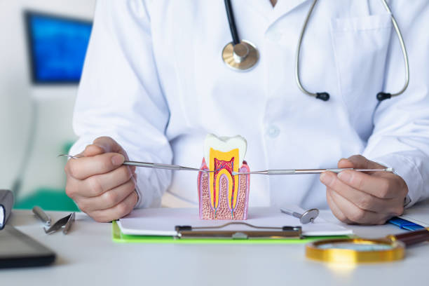 Best Urgent Care for Lost Fillings or Crowns in Gulf Breeze, FL